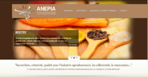 Site corporate ANEPIA WordPress