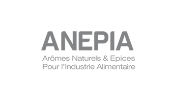 Site WordPress Corporate ANEPIA