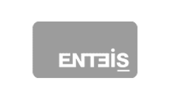 Site WordPress vitrine ENTEIS