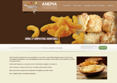 Site corporate d’ANEPIA sous WordPress