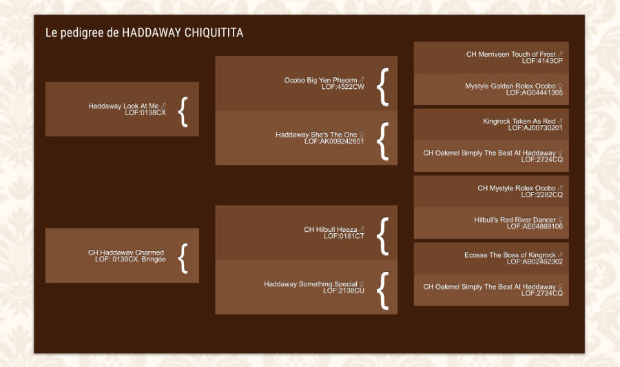 Custom Types WordPress pour la présentation d'un pedigree