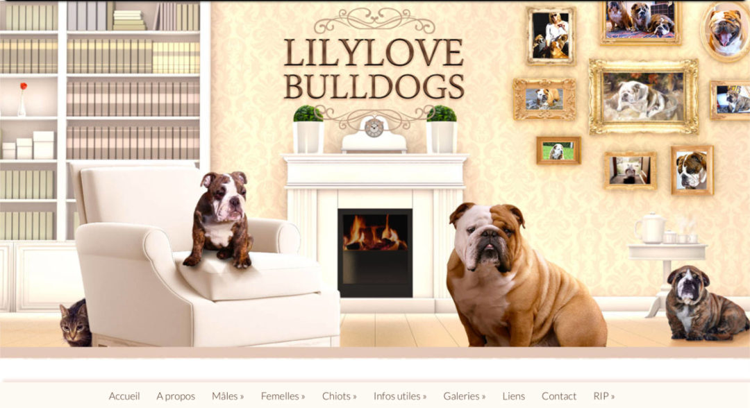 Lilylove Bulldogs site d’éleveur de chiens sous WordPress