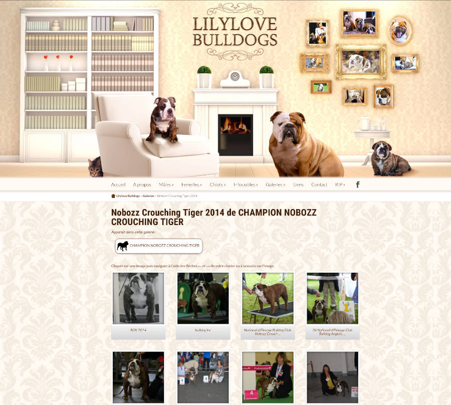 Site CMS WordPress pour éleveur de chiens