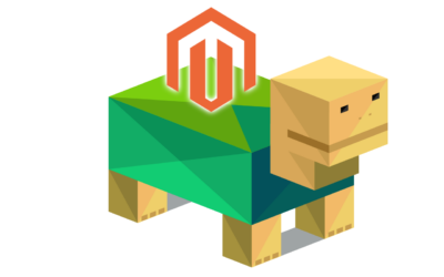 Pourquoi votre site est trop lent sous Magento ?